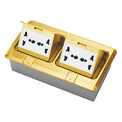 ZDT-220 Double Flip-up Floor Sockets